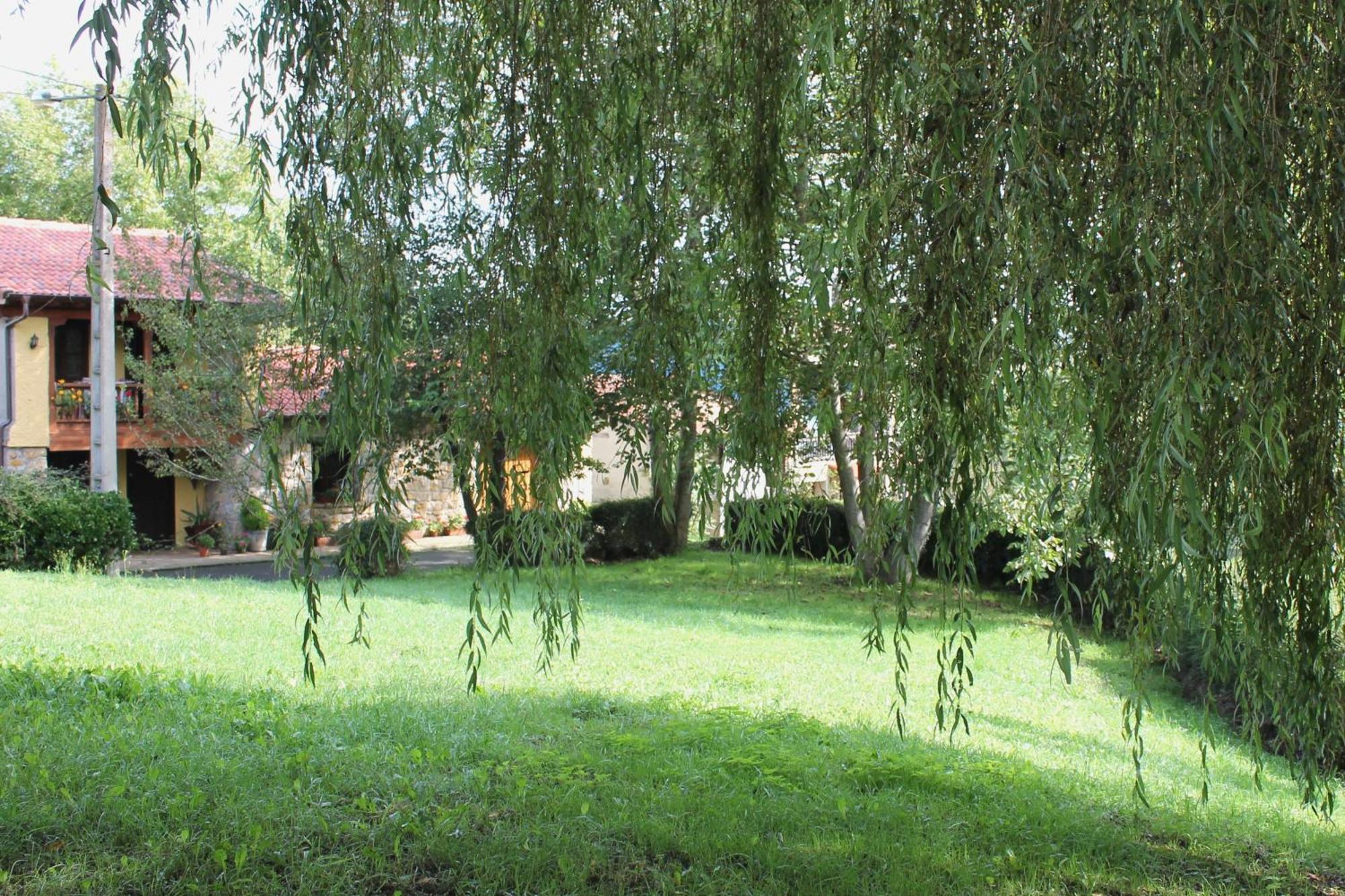Casa De Aldea Monga 9 En Nava, Asturias Villa Exterior photo